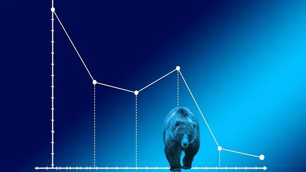 Bear Market Pixabay 1735882704172 1737972569465